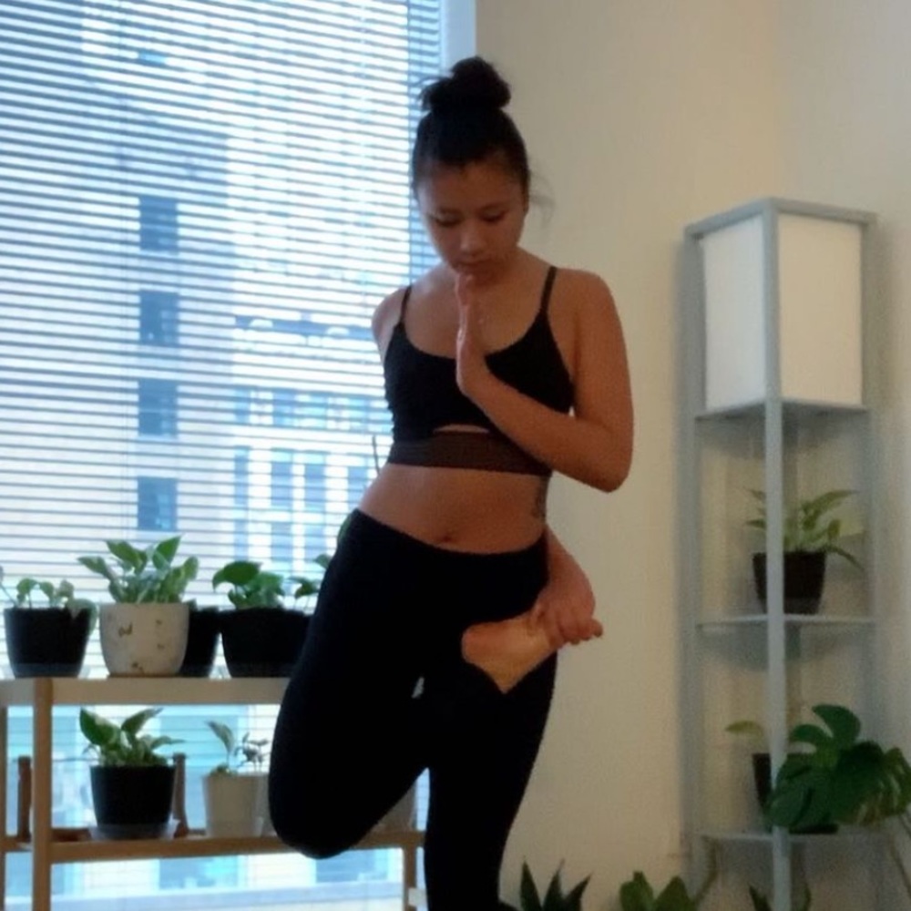 Alo yoga mesh bra